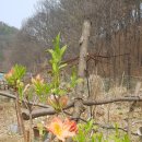 구봉화랑 이미지