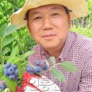 천안농원 이미지