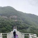 주자천 이미지
