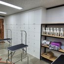 우일애견 이미지