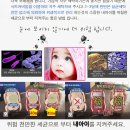 유모차카시트세탁전문점크린아이 이미지