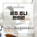 제주보화당한의원 이미지