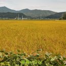 여주-0726 이미지