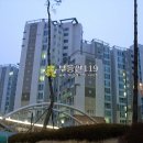 수명로1길 Daum카페