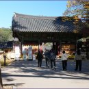 순천-64호 이미지