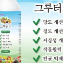 티엔글로벌 이미지