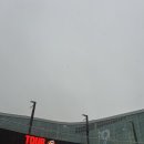 조아캣 | 도자캣 내한공연 후기｜2025 고양 킨텍스 제2전시장 스탠딩 솔직 후기 (영상 O)