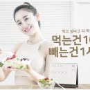 굿바디핏 이미지