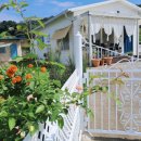 아드레이 이미지