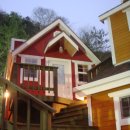 강촌초코민트 이미지