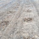 장곡농장 이미지