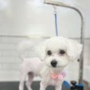 인물나개 이미지