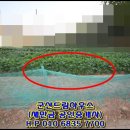 구암동106 이미지