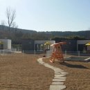 핑코애견 이미지