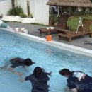 스테이 해아래 이미지