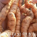금산꿀단지 네이버블로그