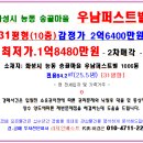 송골 이미지