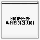 차이 이미지