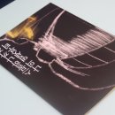 암흑을 직시하는 동시대인 : 나의 이름은? 이미지