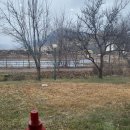 소양강양어장 이미지