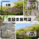 초당초등학교 - 강릉시 | 초당초등학교