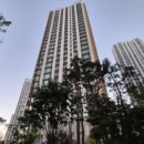 다산 버스정류장 이미지