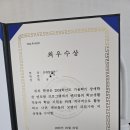 거북이의 꿈 이미지