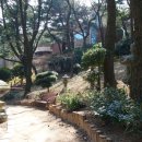 금당 최규용 다비 | 구덕 문화 공원