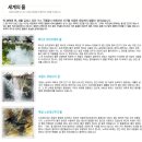 미라클 워터 이미지