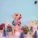 유폴 평택지제역점 이미지