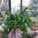 화원노래연습장 이미지