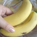 빵빵토스트 이미지