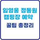 쿵쿵소 캠핑장 | 임영웅 정동원 캠핑장 예약(+꿀팁 총정리)