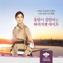 상제리제상가 이미지