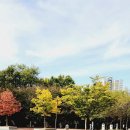 덕이공원 네이버블로그