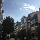 청년고등어 | 고등어 오니기리 밀푀유