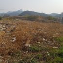 율촌중학교 이미지