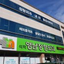 영남정형외과의원 이미지