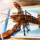 티철판요리 이미지