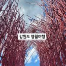 와이앤미