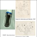 dream of m | 몽블랑 앙리 마티스 4810 만년필 어떤 이야기가 담겼을까요? (26/27 MOA)