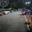 돌마로476번길 | [분당] 어린이 그림책 작가가 될 수 있는 &#34;책과그림숲 분당서현교육원&#34;