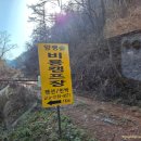 양평숲 비룡캠프장 | 양평숲 비룡캠핑장 찜질방 있는 캠핑장 입실 시간 퇴실시간 배치도