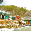 도림사[남] 트래비