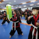 호림익스트림합기도 이미지