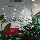 양덕종합모터스 이미지