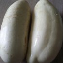 연오농장 네이버블로그