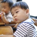 장수버섯 이미지