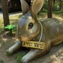 도덕산캠핑장 이미지