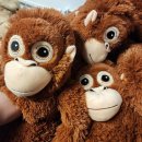 부용로56번길 | 가을끝에 머무는 10월의 기록 #1